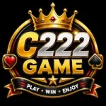 C222 Game